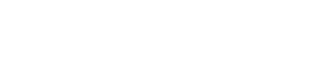 STEINBAUER IT Logo